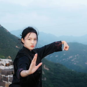 Chen’s Taijiquan Thirteen Positions for Refining the Spirit (Teacher YuanZhi)